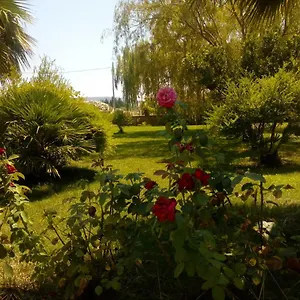 Il Giardino Delle Rose A Appartamento Olmedo
